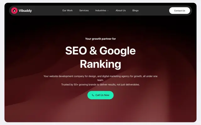 Vibuddy Network website