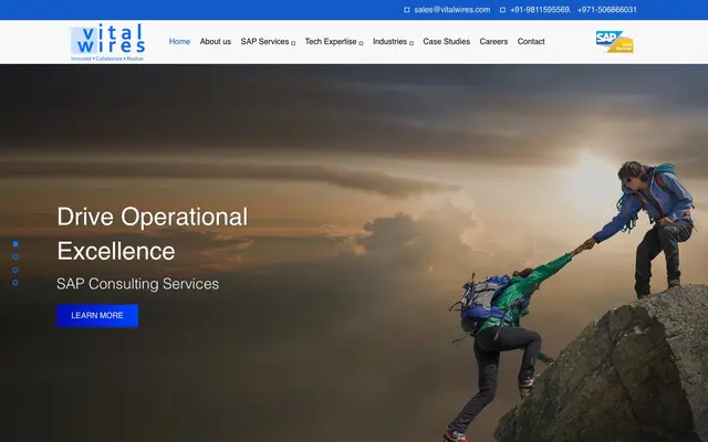 Vital Wires Consulting Pvt. Ltd. website