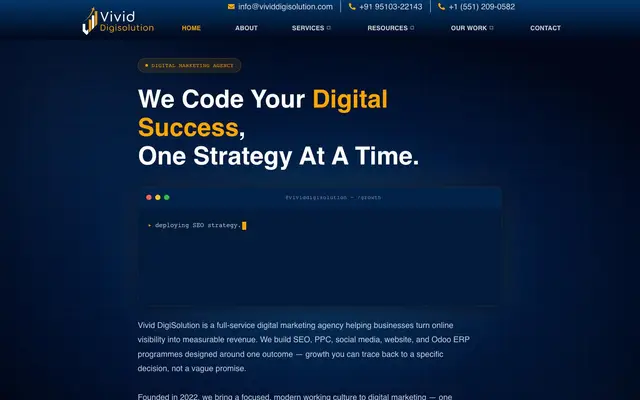 Vivid Digisolution website