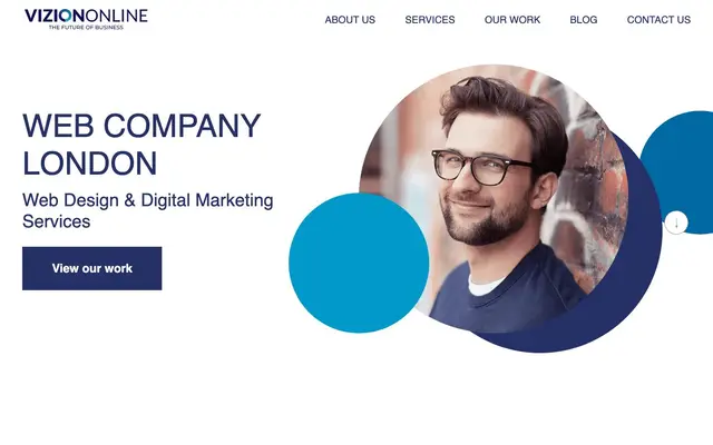 VizionOnline website