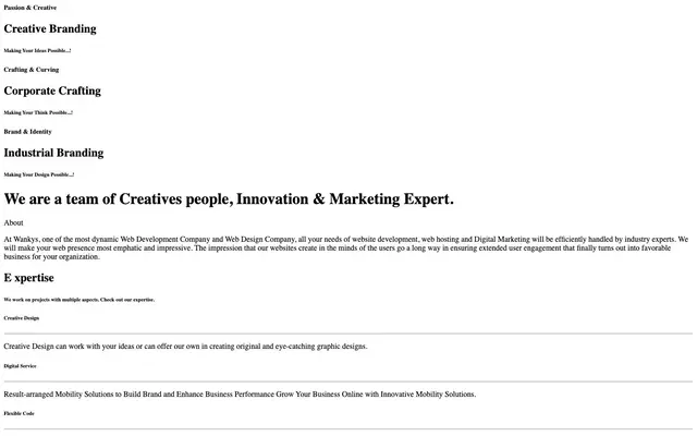 WANKYS website
