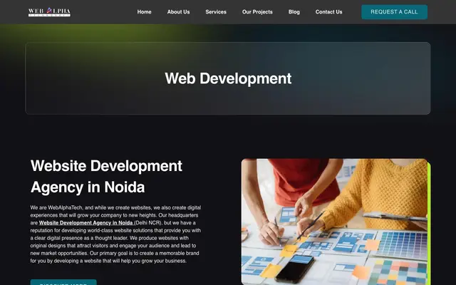 Website Development Agency in Noida website