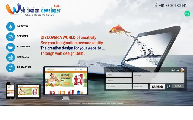 WD3 | Web Designing Company Delhi website