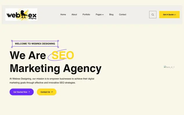 Webrex Designing - Digital Marketing Agency website