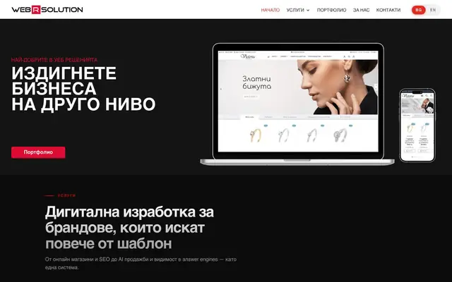 Web R Solution website