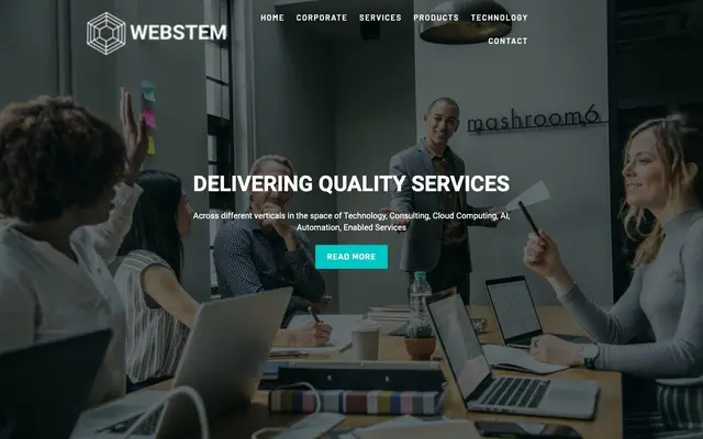 WEBSTEM SOFTWARE SOLUTIONS PVT LTD website
