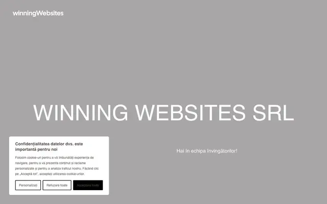 Winning Websites S.R.L. website