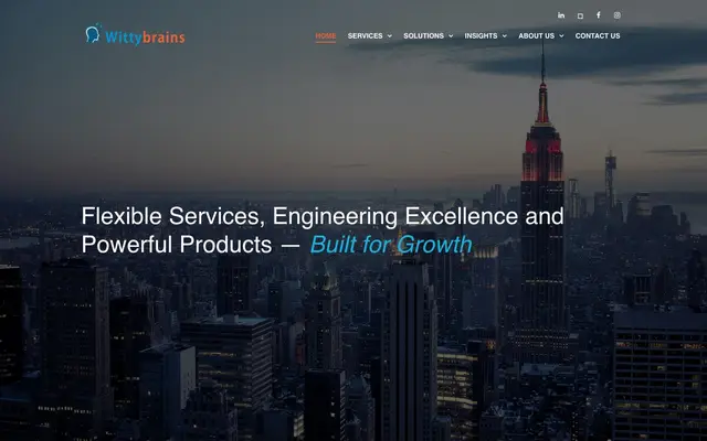 Wittybrains Software Technologies Private Limited website