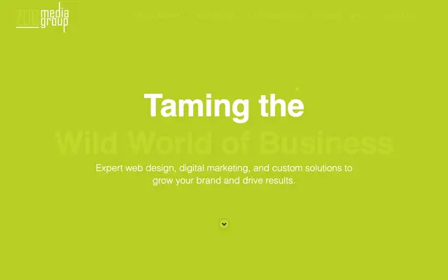 ZOO Media Group Inc. website